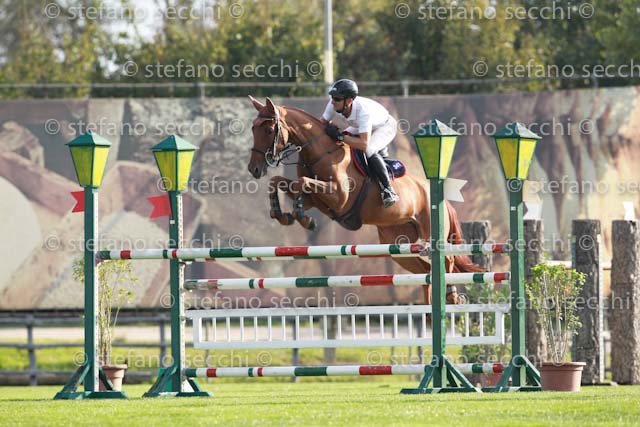 TAZZI_AMBRA_GIO CAV 2011_SS3_7687.jpg